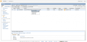 LAUNCH the AMI instance